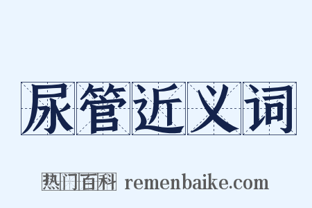 尿管近义词是什么意思的图片